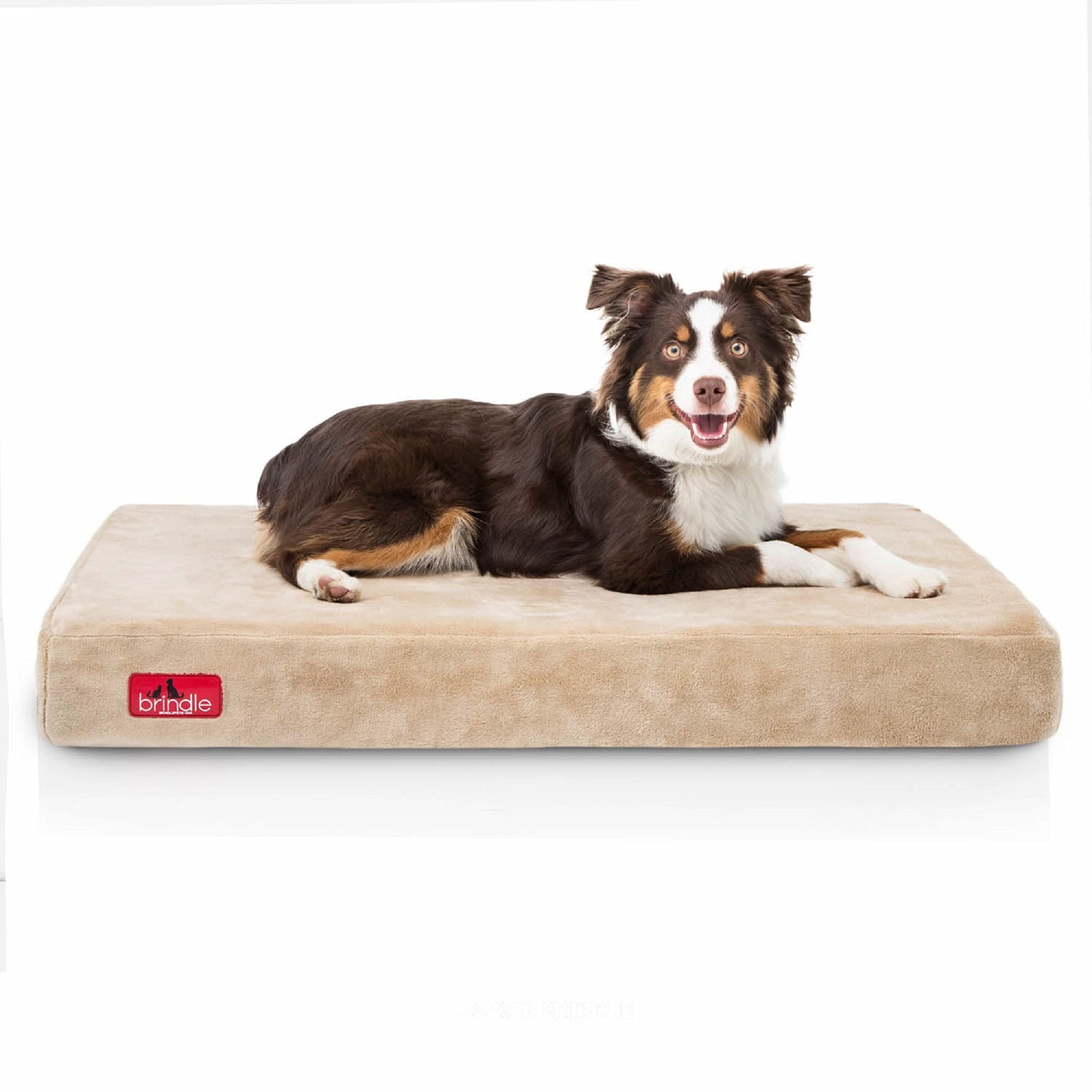 Brindle Soft Memory Foam Dog Bed
