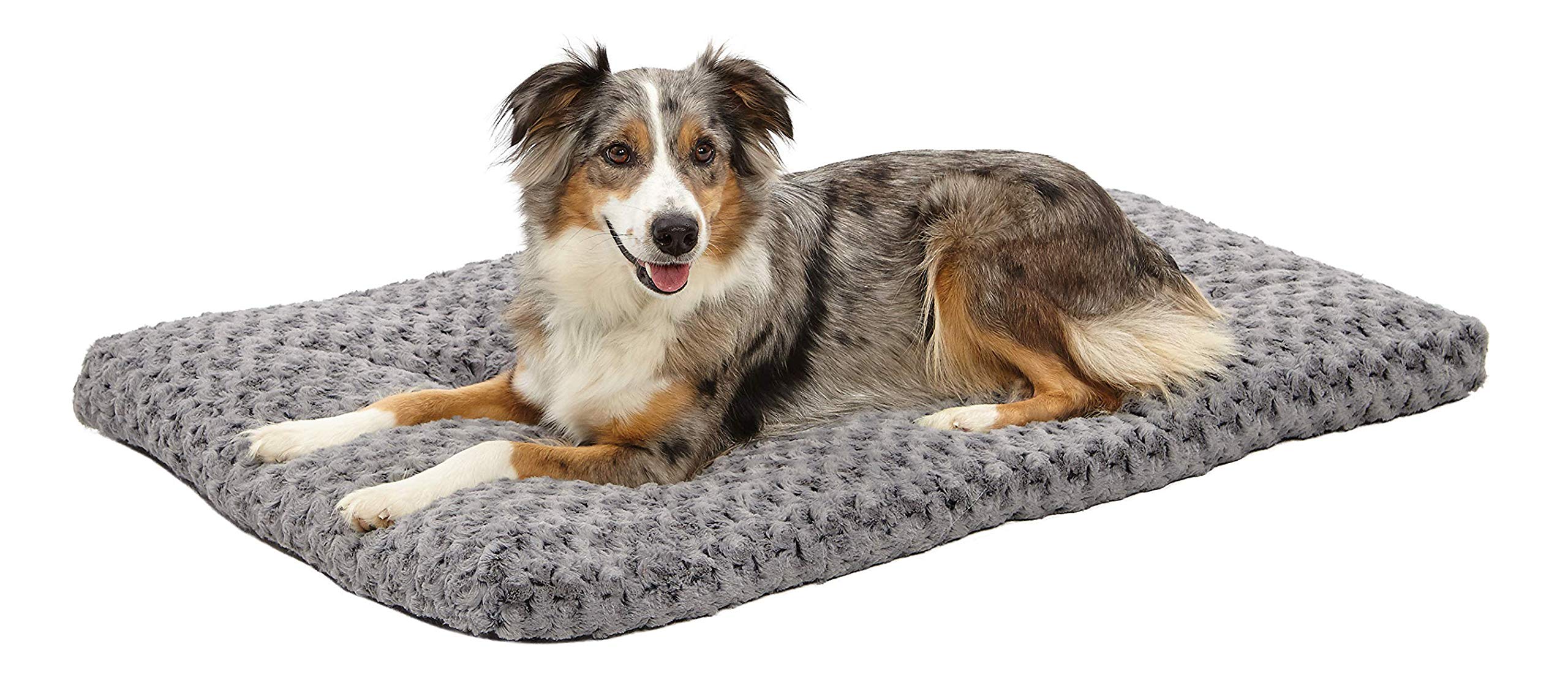 MidWest Homes for Pets Deluxe Pet Bed